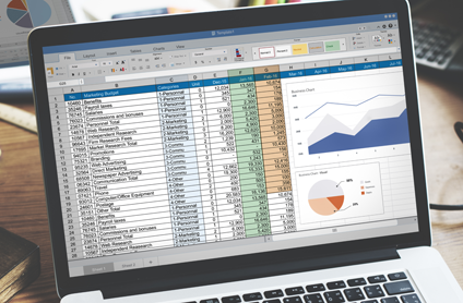 An Excel spreadsheet on a laptop.